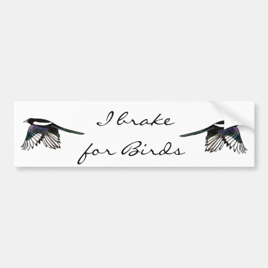 Magpie - Waterverf Bird Bumpersticker (Voorkant)