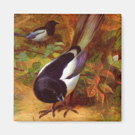 Magpies Magneet (Voorkant)
