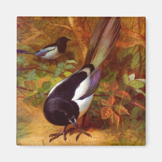 Magpies Magneet (Voorkant)