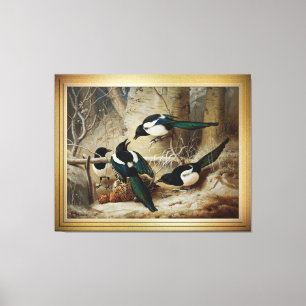 Magpies rond een dood Vrouw auerhoen Canvas Afdruk