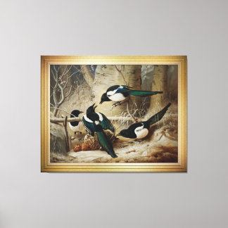 Magpies rond een dood Vrouw auerhoen Canvas Afdruk