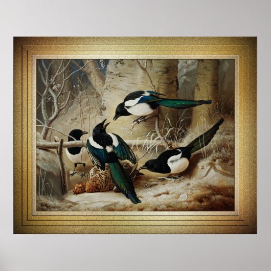 Magpies rond een dood Vrouw auerhoen Poster (Voorkant)