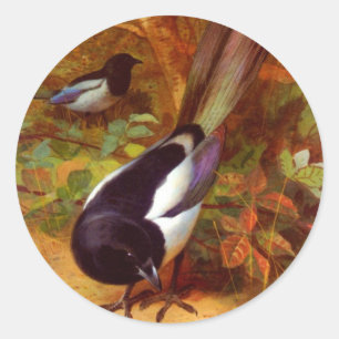 Magpies Ronde Sticker