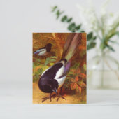 Magpies, schilderij van Archibald Thorburn, Briefkaart (Staand voorkant)