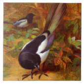 Magpies Tegeltje (Voorkant)