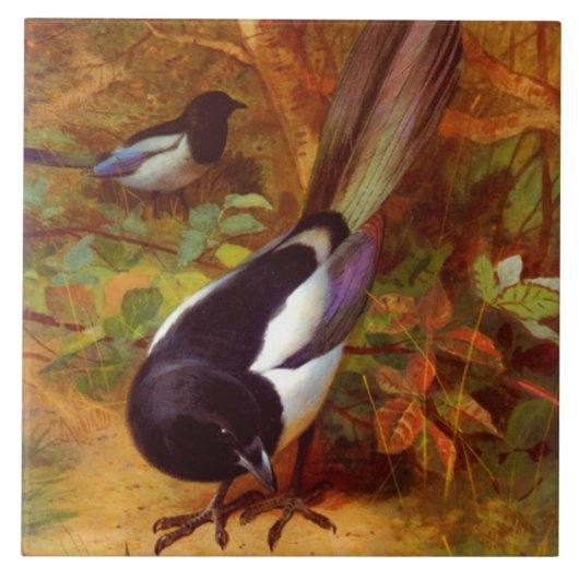 Magpies Tegeltje (Voorkant)