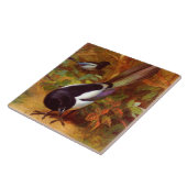 Magpies Tegeltje (Zijkant)