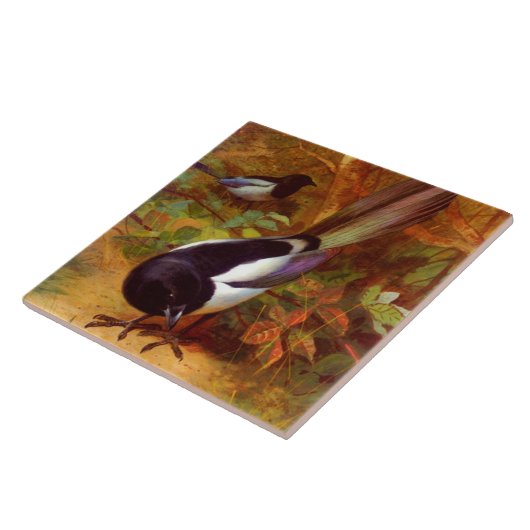Magpies Tegeltje (Zijkant)