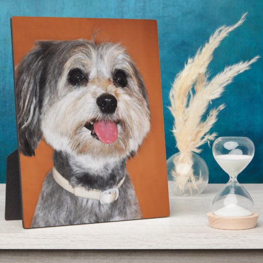 Magyar Vizsla Dog Fotoplaat (Zijkant)