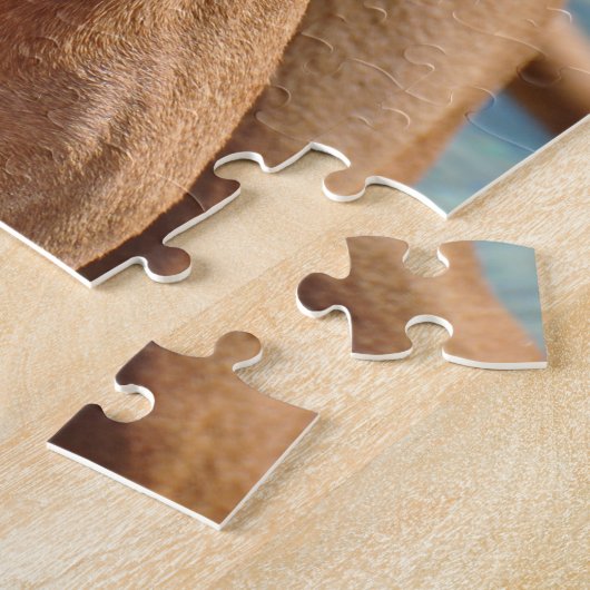 Magyar Vizsla Dog Legpuzzel (Zijkant)