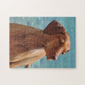 Magyar Vizsla Dog Legpuzzel (Horizontaal)