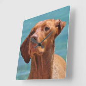 Magyar Vizsla Dog Vierkante Klok (Hoek)