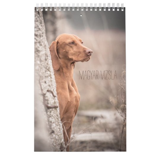 Magyar Vizsla Hunde Kalender (Hoes)