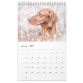 Magyar Vizsla Hunde Kalender (Jan 2027)