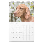 Magyar Vizsla Hunde Kalender (Mar 2027)