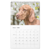 Magyar Vizsla Hunde Kalender (Mar 2026)