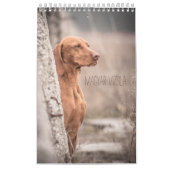 Magyar Vizsla Hunde Kalender (Hoes)