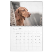 Magyar Vizsla Hunde Kalender (Feb 2026)