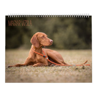 Magyar Vizsla Hunde Kalender