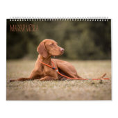 Magyar Vizsla Hunde Kalender (Hoes)