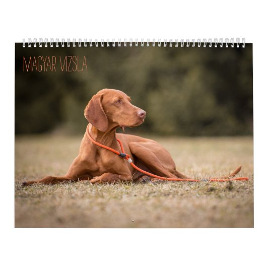 Magyar Vizsla Hunde Kalender (Hoes)