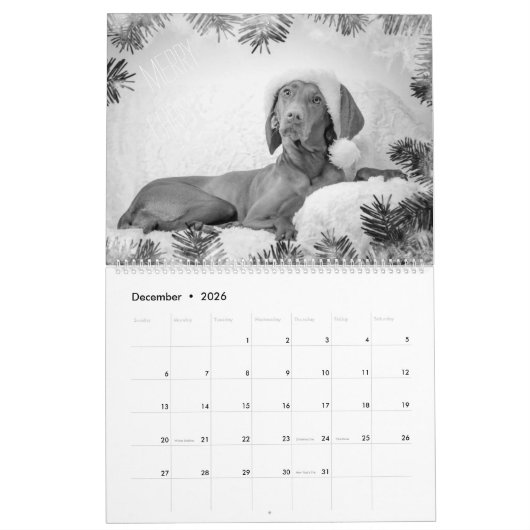Magyar Vizsla Hunde Kalender black & white (Dec 2026)