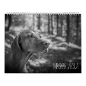 Magyar Vizsla Hunde Kalender black & white (Hoes)
