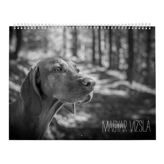 Magyar Vizsla Hunde Kalender black & white (Hoes)