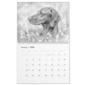Magyar Vizsla Hunde Kalender black & white (Jan 2026)