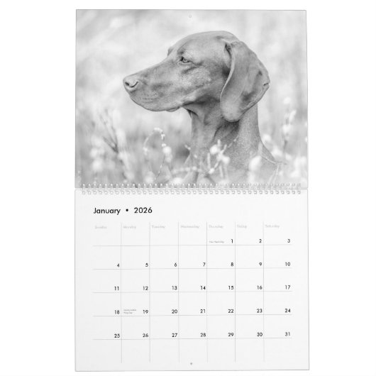 Magyar Vizsla Hunde Kalender black & white (Jan 2026)