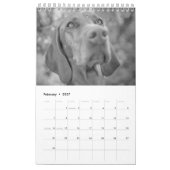 Magyar Vizsla Hunde Kalender black & white (Feb 2027)