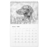 Magyar Vizsla Hunde Kalender black & white (Jan 2026)