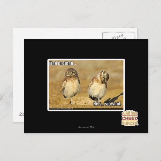 Mah brothah briefkaart (Voorkant / Achterkant)