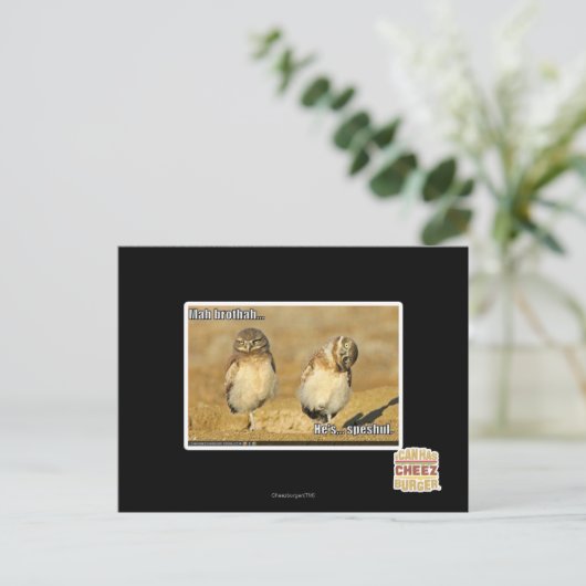 Mah brothah briefkaart (Staand voorkant)