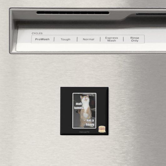 Mah buik heeft een gelukkige magneet (Insitu (Vaatwasser))