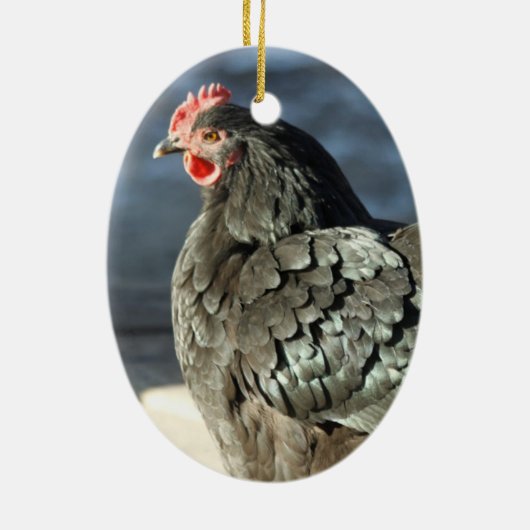 Mah Chikkens Keramisch Ornament (Achterkant)