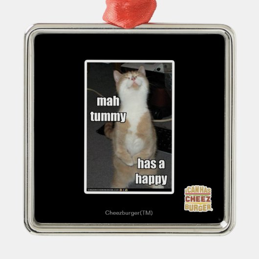 Mah tummy is blij metalen ornament (Voorkant)