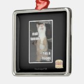 Mah tummy is blij metalen ornament (Links)