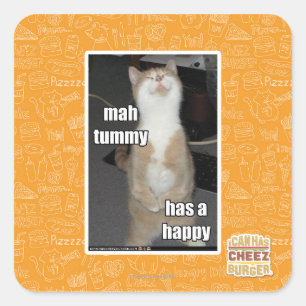 Mah tummy is blij vierkante sticker