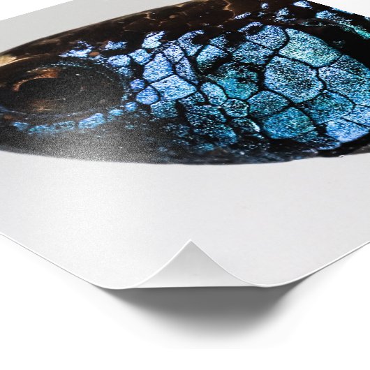 Mahachai Betta Fish Foto Afdruk (Hoek)