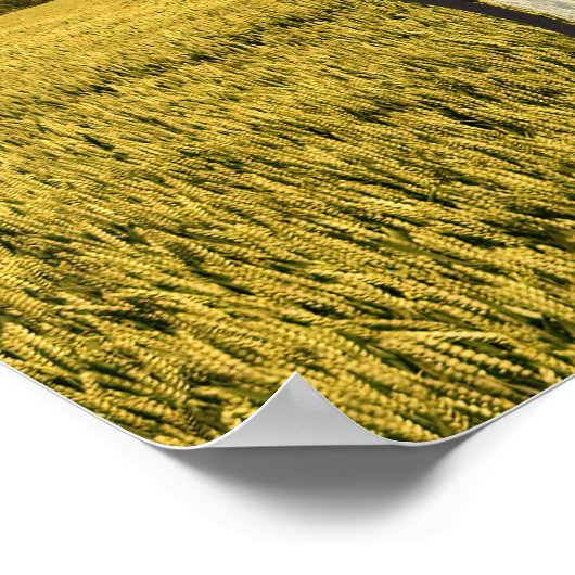 Mahatma Gandhi Inspirerend Quote "Live" Poster (Hoek)