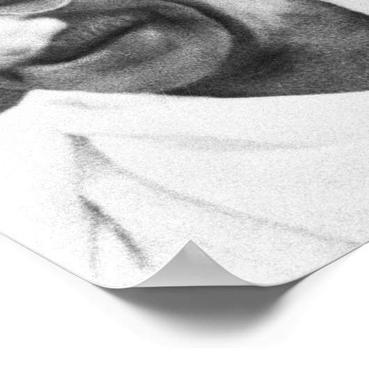 Mahatma Gandhi Poster (Hoek)