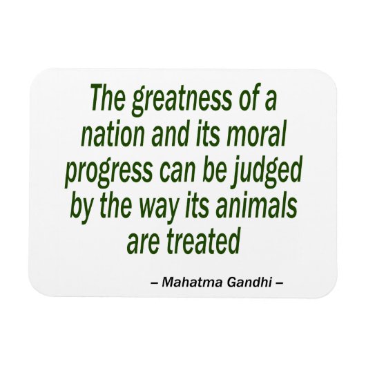 Mahatma Gandhi Quote Magneet (Horizontaal)