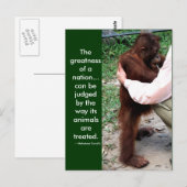 Mahatma Gandhi's dierlijk citaat Briefkaart (Voorkant / Achterkant)