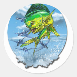 mahi-1 ronde sticker