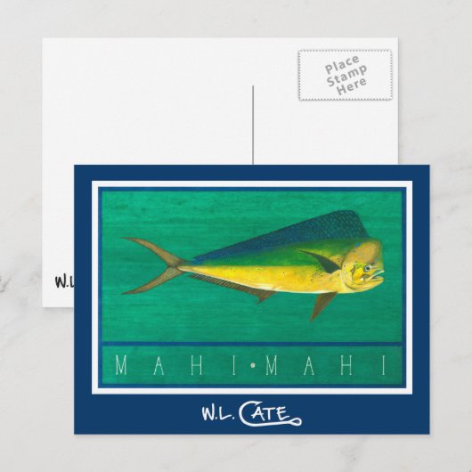 Mahi-Mahi-Briefkaarten Briefkaart (Voorkant / Achterkant)