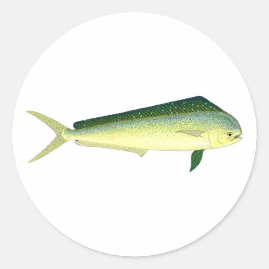Mahi Mahi - Dolphin Fish Art Ronde Sticker (Voorkant)