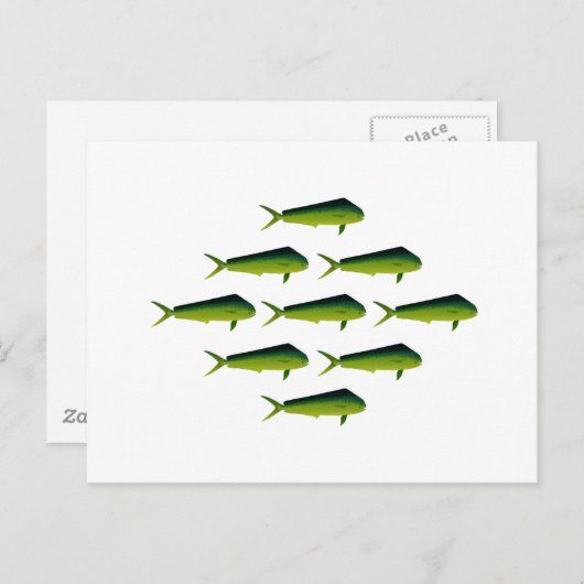 Mahi Mahi Fish - Dolphin - Dorado Briefkaart (Voorkant / Achterkant)