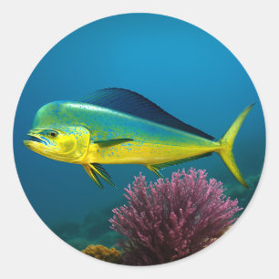 Mahi-Mahi Majesty Ronde Sticker