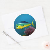 Mahi-Mahi Majesty Ronde Sticker (Envelop)